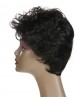 Synthetic Wigs For Black Women Short Curly Wig 100% Kanekalon Synthetic African American Wigs
