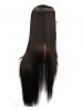 Heat Resistant Silky Straight Synthetic Lace Front Wig Long Black Wigs For African American Women
