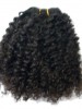 Curly Indian Remy Hair Weft Extensions