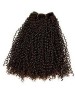 Curly Indian Remy Hair Weft Extensions