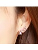 Women's Fashionable Twinkle Little Star Crystal Earrings