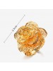 Fashionable Hollow Out Flower Gold Plated Index Finger Ring