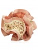 Top-Grade Chiffon Cloth Art Lace Headdress Flower Scrunchies