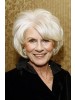 Short gray Lace Front Synthetic Hair Wig