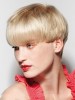 Sleek Mushroom Cut Revival Wig