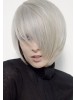 Short Capless Synthetic Hair Wig