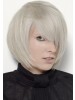 Short Capless Synthetic Hair Wig