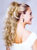 Absolutely Easy Claw Clip Ponytail Hairpiece