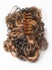 Elegant Curly Claw Clip hairpiece