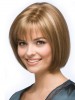 Smooth Bob Capless Synthetic Hair Wig