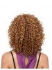 Afro Curly Fashionable African American Wigs