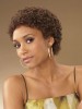 Classic Curly Short Synthetic Capless Wig