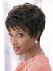 Dramatic Short Synthetic Wig