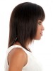 Straight 100% Remy Human Hair Wig