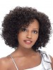 New Impressive Short Curly African American Lace Wigs for Women 12 Inch