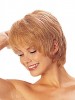 Classic Shag Layered Sides Synthetic Wig