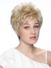 Retro Hairstyle Short Synthetic Wig