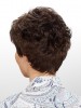 Short 2014 New Style Capless Wig