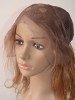 The Classic Long Straight Lace Wig