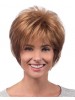 Soft Layers Capless Synthetic Hair Wigs