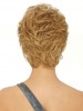 Curly Synthetic Lace Front Short Wig