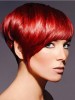 Hot Fascinating Carefree Soft Short Layered Straight Wig