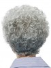 Classic Style With Soft Curls Grey Wig