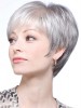 Straight Synthetic Short Lace Front Grey Wig