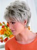 Lace Front Layered Synthetic Grey Wig
