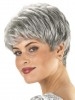 Sophisticated Layer Short Synthetic Capless Grey Wig